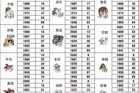 生肖狗年份|属狗的年份有哪些 属狗的年份及年龄对照表